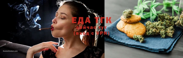 индика Баксан