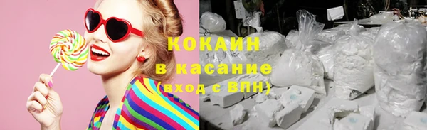 индика Баксан