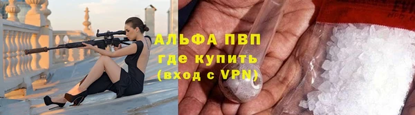 индика Баксан