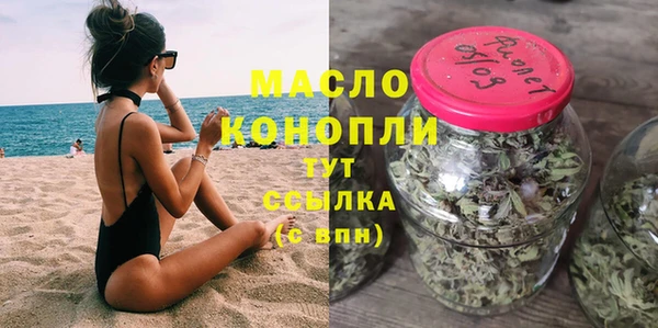 индика Баксан