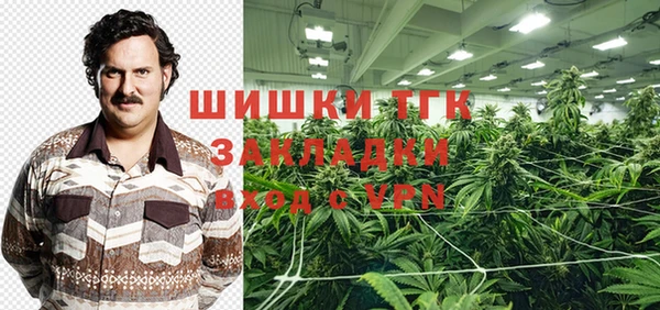 индика Баксан