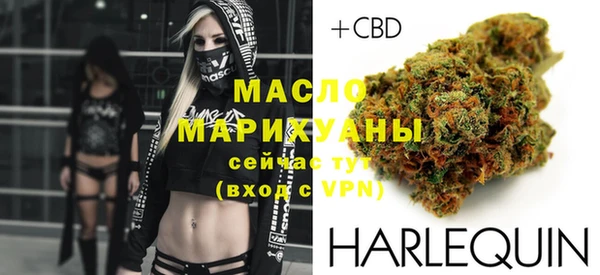 индика Баксан