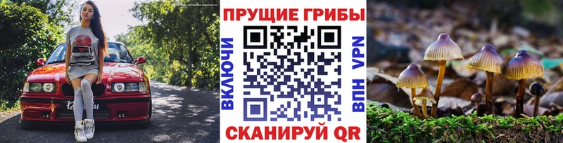 Купить  Волжск  Галлюциногенные грибы ЛСД 